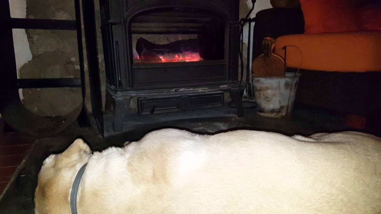 Casa rural con mascotas en la Sierra de Albarracín