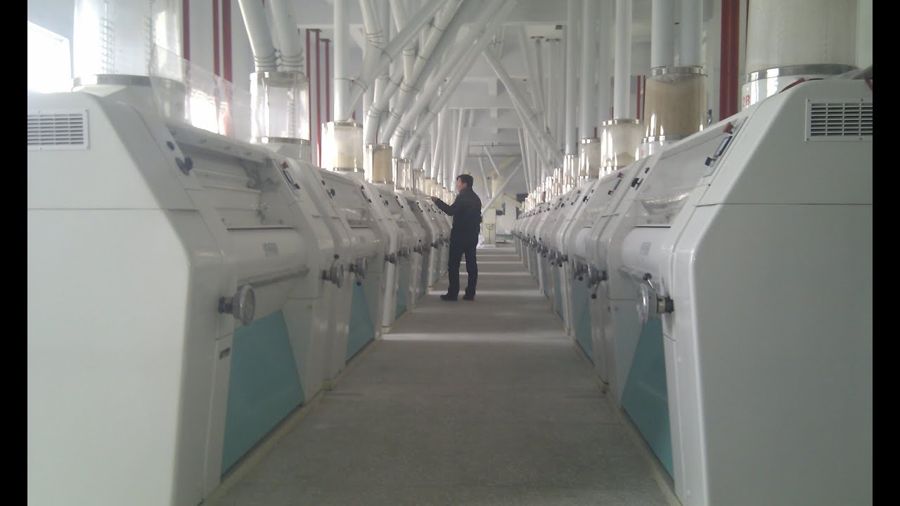 300-500 ton per day  wheat flour milling plant