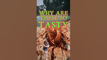 I Found the Raisins – And They Found Me | Bootstrap Island