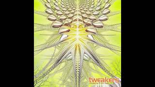 VA - Tweakers by: Paul Taylor - 2004 - (Full Album) | Spun Records
