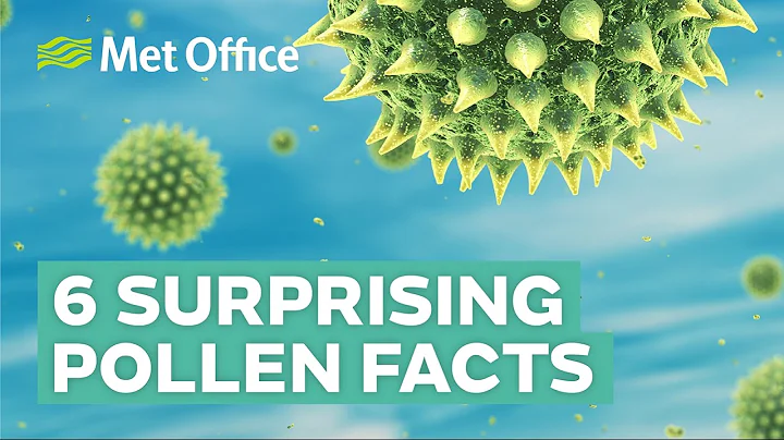 6 Surprising facts about pollen - DayDayNews