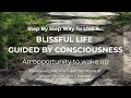 How Can You Live A Blissful Life? Step By Step Way To Live A Life Guided By Consciousness