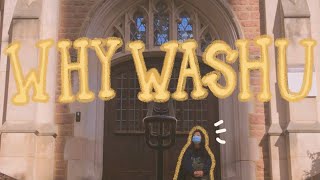 Why I Chose Washu & Why You Should Too