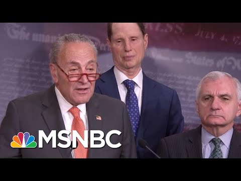 Chuck Schumer: Hunter Biden Can Tell Us 'Nothing' About President Donald Trump's Conduct | MSNBC