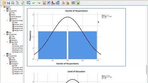 Descriptive Data Analysis with SPSS