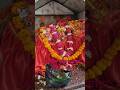 प्राचीन देवघरा माता मंदिर सतरिख बाराबंकी #शॉर्ट्स # #शॉर्ट्स_वीडियो
