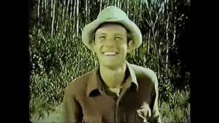 The Monroes 1966 (ABC TV Series) Episode 7, 8, 9 & 10/26