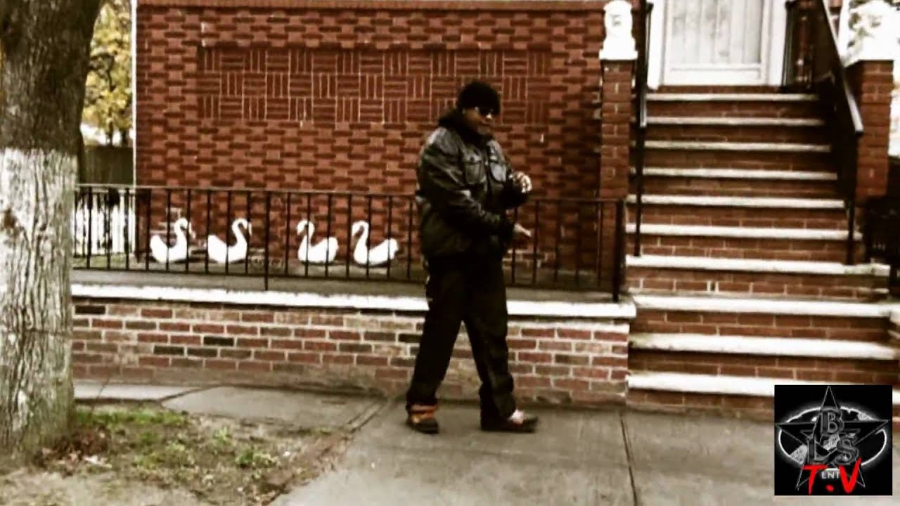 BLSTV - NEW MONEY (LOYALTY) DMG