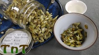 Yunnan Sourcing Early Spring 2016 Sun-Dried Buds Wild Pu Erh - Quick Tea Review #3