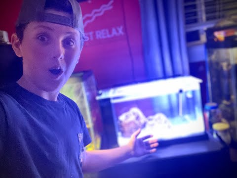Unboxing the fluval nano saltwater aquarium!