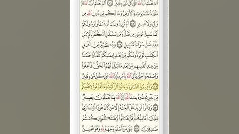 الصفحة السابعة عشر 17 من القرآن الكريم بصوت الشيخ ميثم التمار