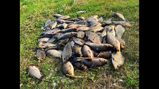 картинка: ЗАКИНУЛИ АРБУЗЫ В ВОДУ И ТУТ НАЧАЛОСЬ! рыбалка с ночевкой
