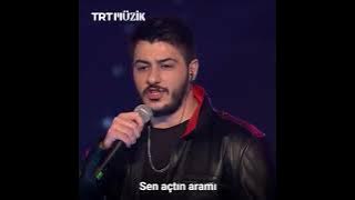 Semicenk Kalbim Yaralı