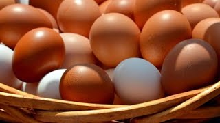Интересные факты о яйцах