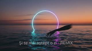 Ai Manele Factory  i Te Mai Atept O Zi un Remix