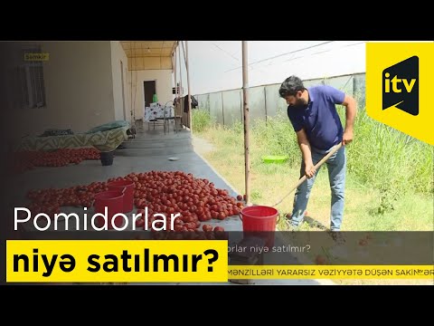 Video: Münasibət çıxılmaz Vəziyyətdədirsə