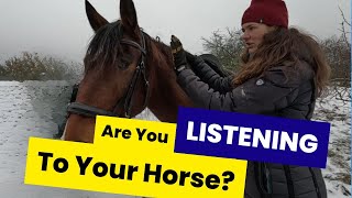 Youre Touching Your Horse But Are You Listening? Nervous System With Sukie Baxter