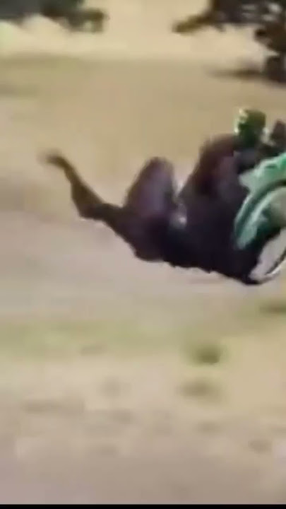 Happy wheels irl #memes #happywheels #comedy