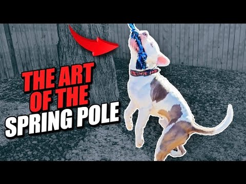 What Are The Benefits Of The Spring Pole