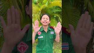 เอามายี่สิบ �...