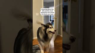 My Most Expensive Bill