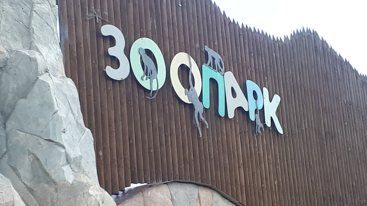 Ряжск зоопарк Ряжск зоопарк