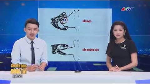 Cách sơ cứu người khi chẳng may bị rắn độc cắn