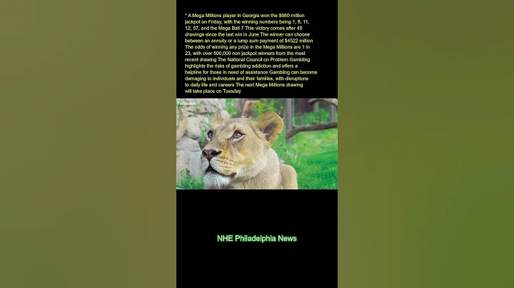 A Mega Millions player in Georgia won the $980 million jackpot on Friday, with the winning numbers b