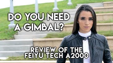 Should You Invest in a 3 Axis Gimbal? - Feiyu Tech A2000 Dual Handle Review - feat. the Sony A7RIII