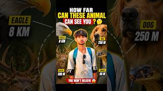 How Far Can These Animal Can see You 🤔||