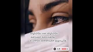 Viliyile en viliyile song lyric in tamil...