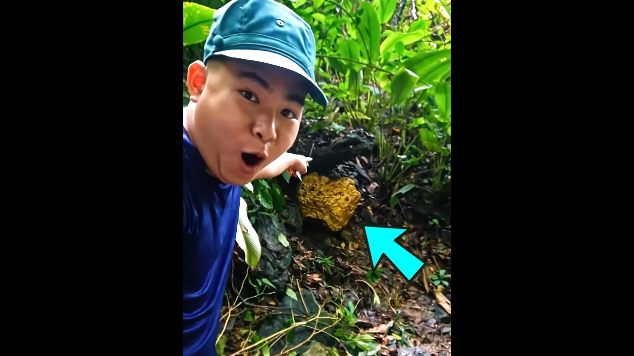 Best Mineral Finds 💎 He Found a Giant Gold Rock