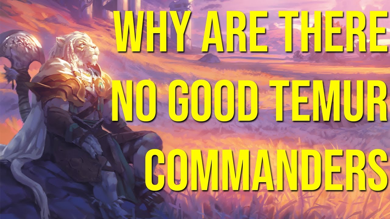 Почему нет хороших командиров-Тамуров?