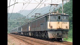 峠のシェルパ”EF63 峠を降りる”臨時列車達”
