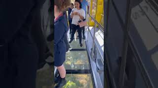 Sky walk , blue mountains ,Australia Sky walk , blue mountains ,Australia