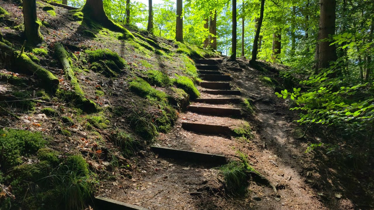 🌳🌲Traumschleife 🌳🌲Steinhauerweg 🌳🌲SAARLAND 🌳🌲 10,3 KM 🌳🌲Naturschutzgebiet 🌳🌲