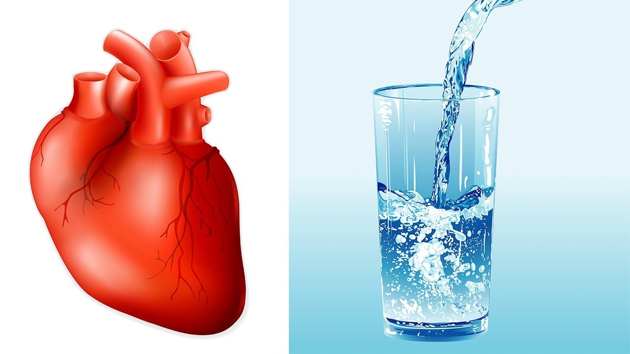Warum es einen Zusammenhang zwischen einem Herzinfarkt und Wasser gibt