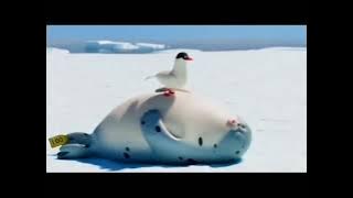 penguin thug life #funnyvideo #viral #trending #subscribe