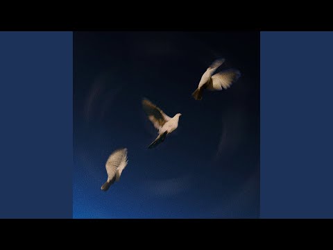 SWIM - Everything You Need