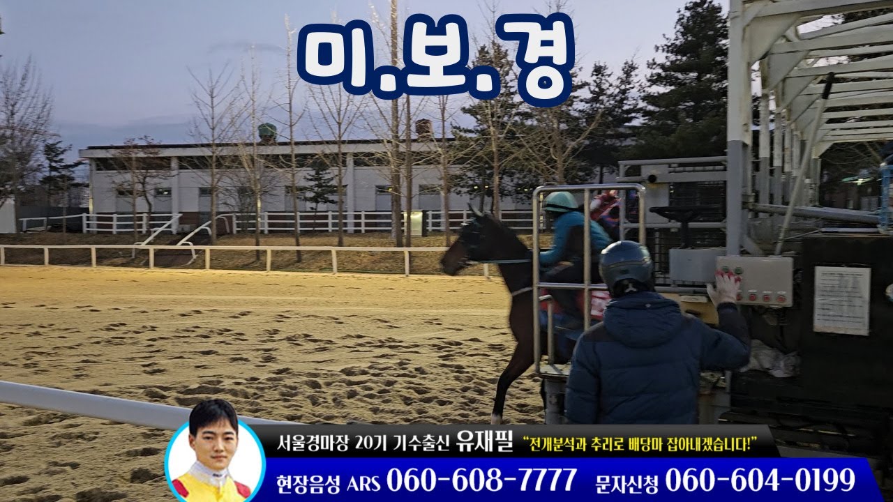 [유재필의 조교현장/미.보.경] 2026년 1월 3주 / 미리 보는 경마~!