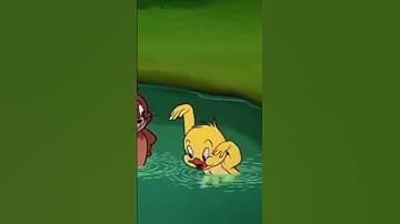 tom and jerry whatsapp status