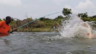 Unbelievable fishing|Fish hunting Big Rohu fishes to Catching in Big hook|Rohu fishing|Uniquefishing