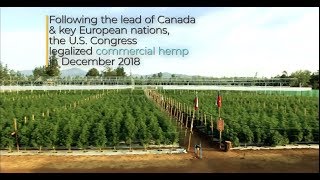Kayagene Nrgene Map The Hemp Genome