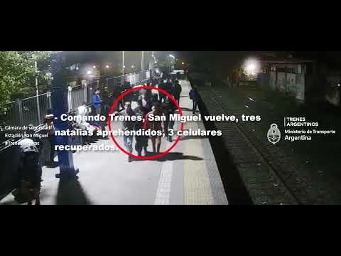 Policiales: Detienen a tres ladrones de celulares que querían escapar en el tren