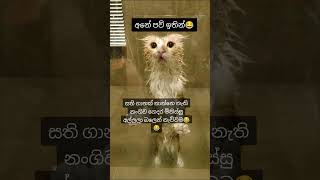 Nangilawa Awissime Sangamayamention Karapn Okiwa