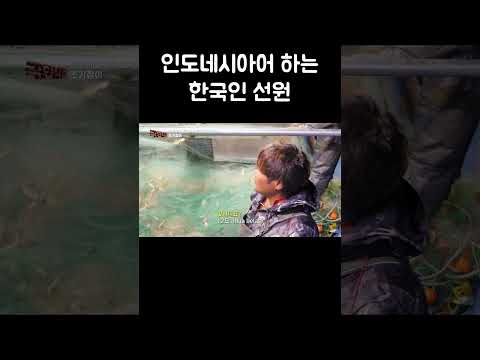 한국인 선원이 인도네시아어 배운 이유 #shorts