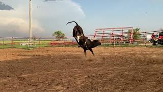 Heifer -64 2trips