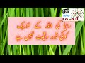 دنيا كى الله كے نزدیک کوئی قدر وقیمت نہیں ہے