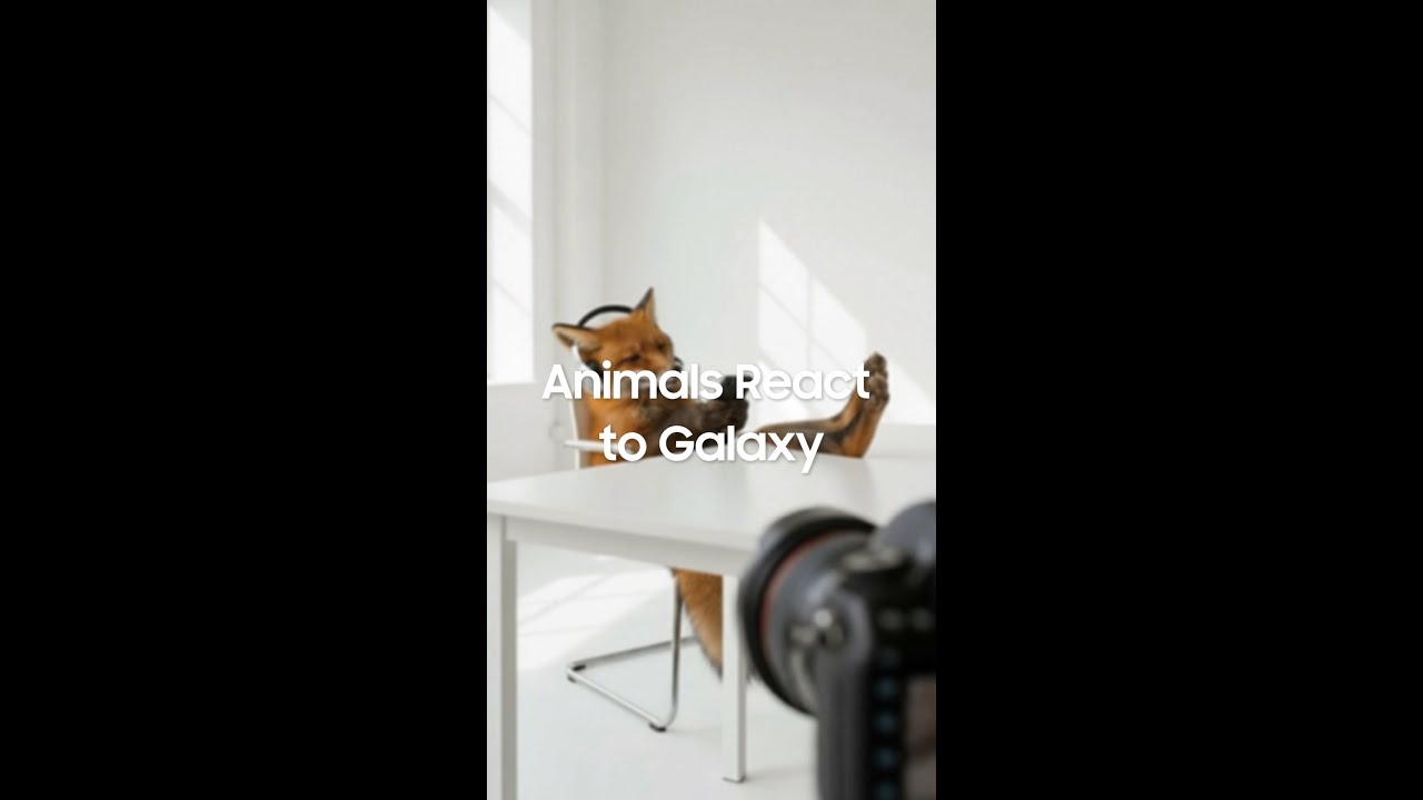 Animals react to Galaxy | Samsung