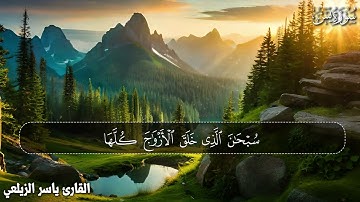 سورة الملك الرحمن يس الواقعة القرآن شفاء لما في الصدور❤ - القارئ ياسر الزيلعي